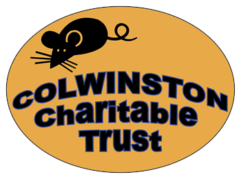 Colwinston Charitable Trust