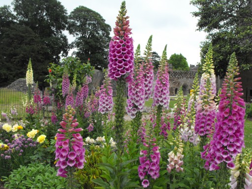 A Garden Party to Die For