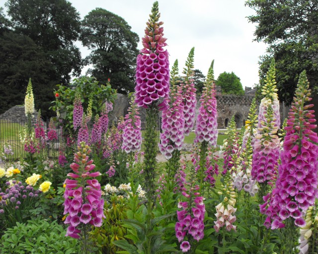 A Garden Party to Die For